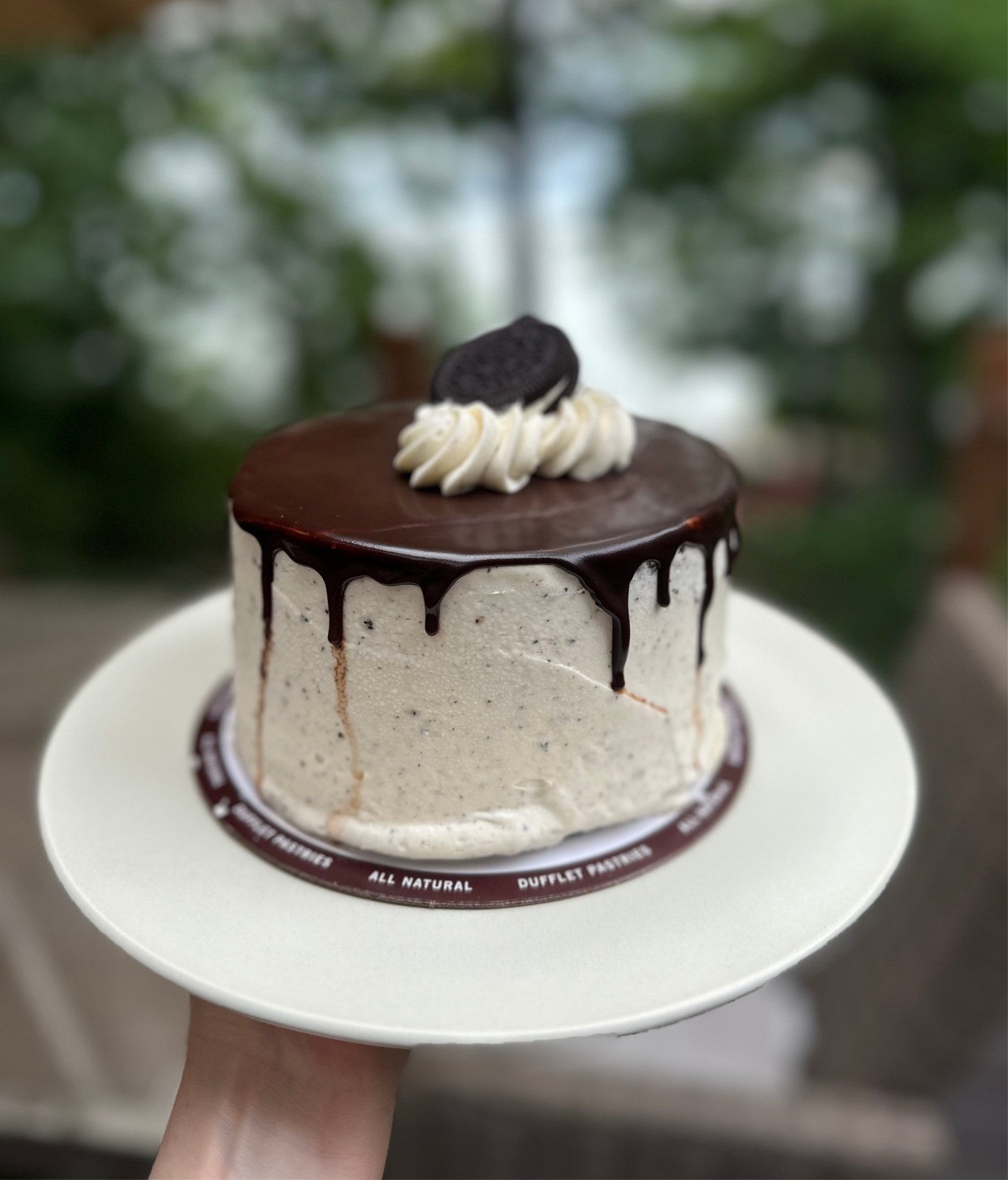 6" Cookies & Cream