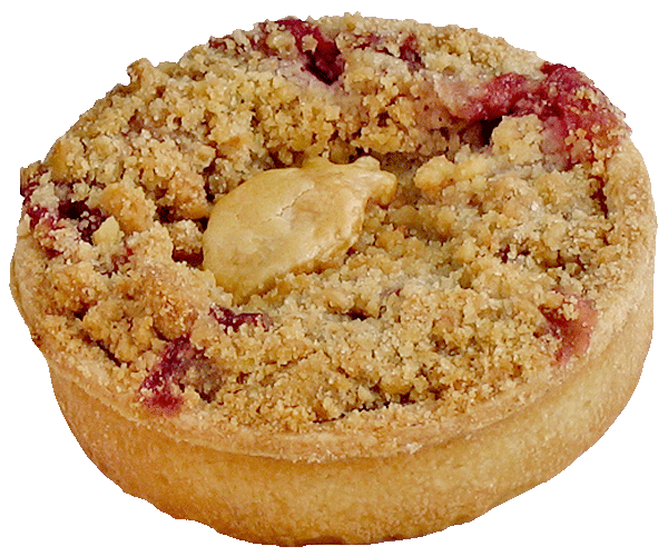 Strawberry Rhubarb Euro Tart